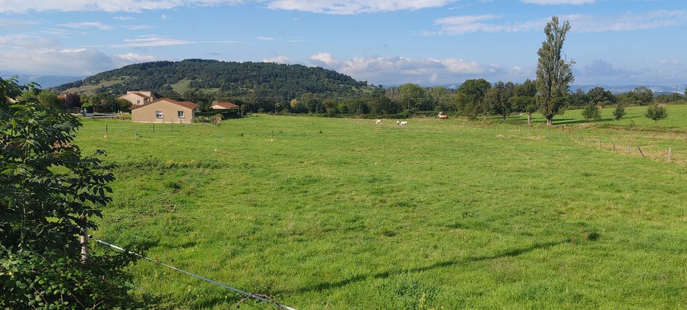 Vente Terrain 43300 MAZEYRAT D'ALLIER beau terrain à bâtir de 9228 m2 Mazeyrat-d'allier