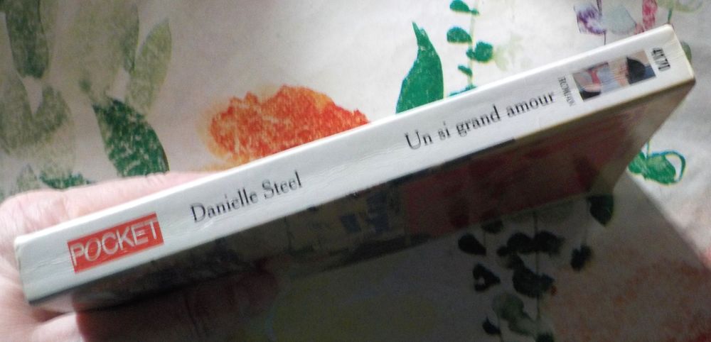 UN SI GRAND AMOUR de Danielle STEEL Ed. Pocket Livres et BD