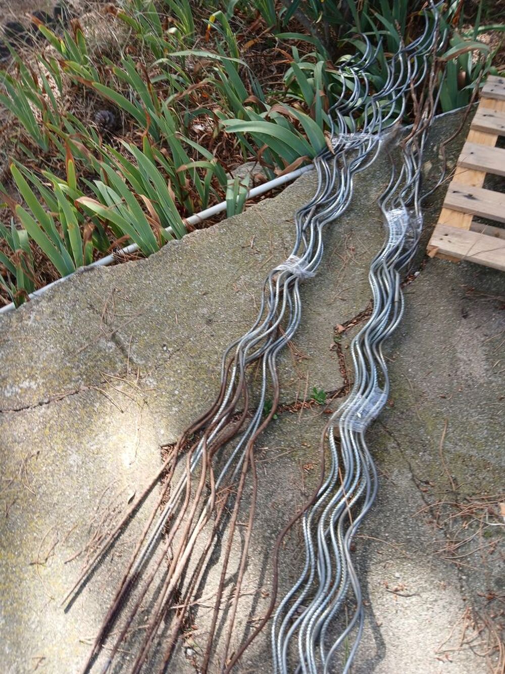 de 23 tuteurs en acier torsad&eacute; pour tomates Jardin