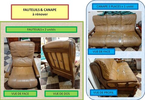 CANAPE ET FAUTEUILS 100 Martinique (97)