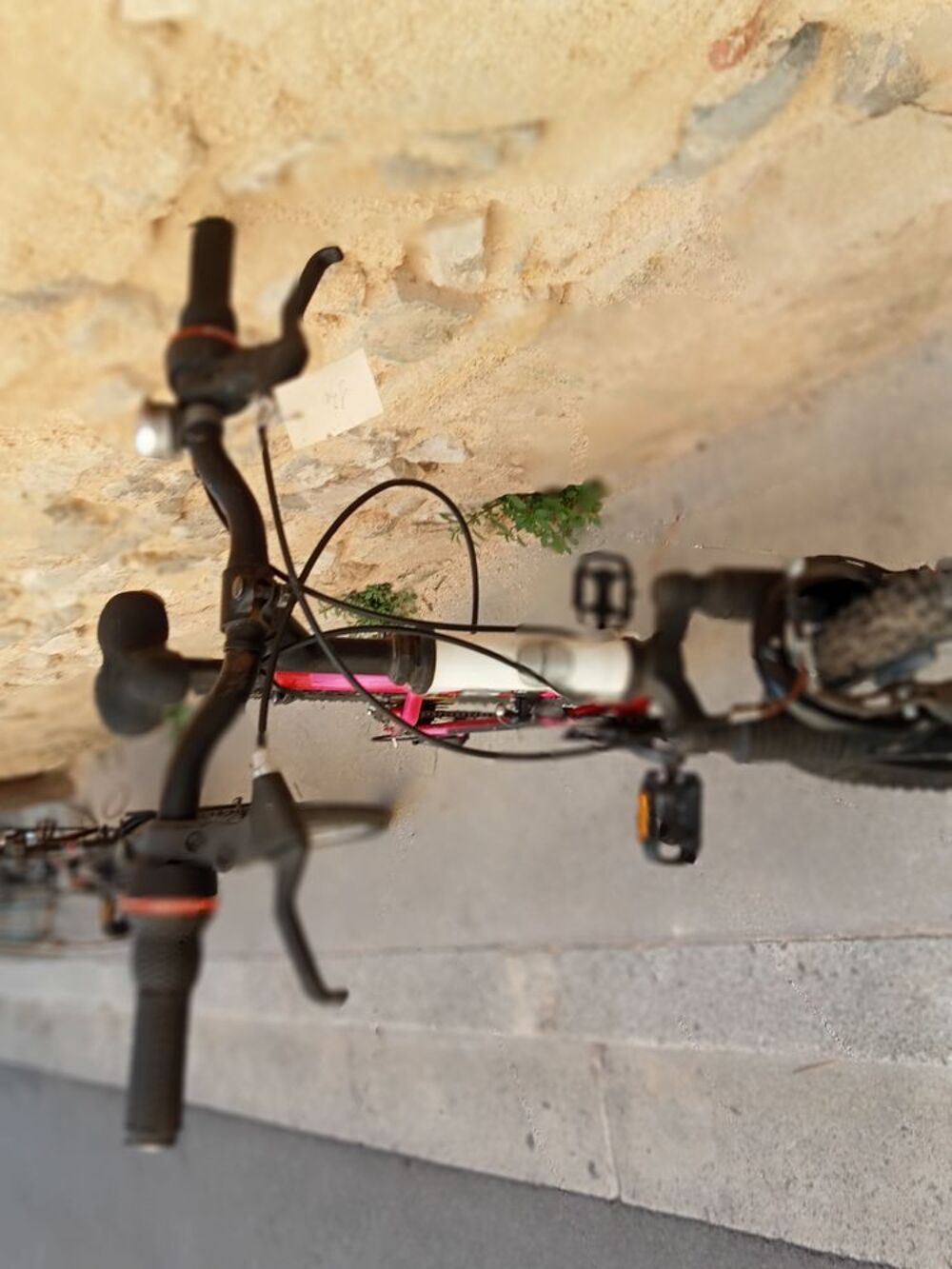 VTT TOP BIQUE DAME Pr LE BENIN Vélos