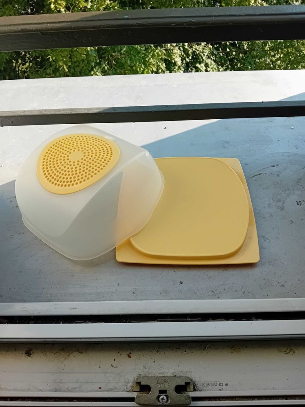 Cloche fromage Cuisine