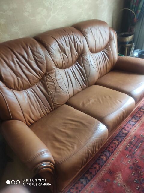 Salon cuir 3 places 2 fauteuils 90 Bordeaux (33)