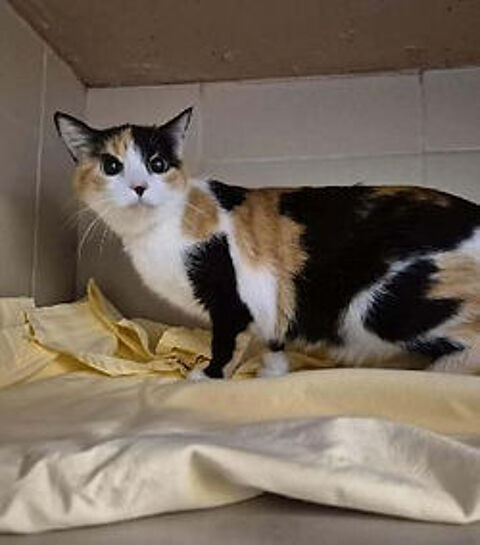 Pixel 200 26700 Pierrelatte