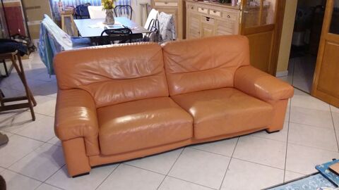 Canap cuir 0 Amilly (45)