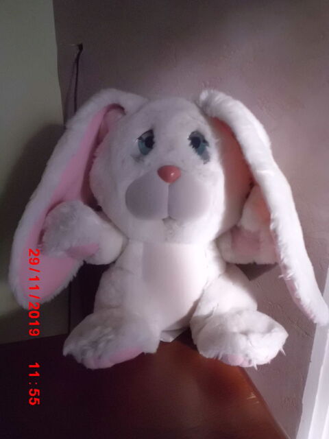 LAPIN BLANC ET ROSE GALOOB 29 Oignies (62)