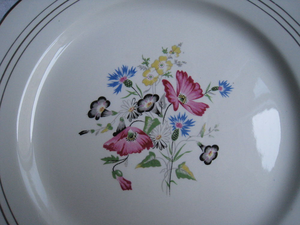  16 Assiettes v&eacute;ritable opaque Digoin Raspail Cuisine