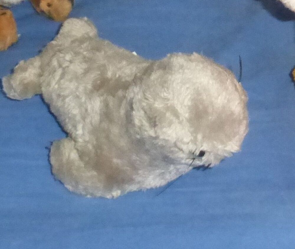 PELUCHE (1) Jeux / jouets