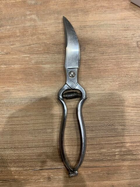 Ciseau  volaille 4 Saleilles (66)