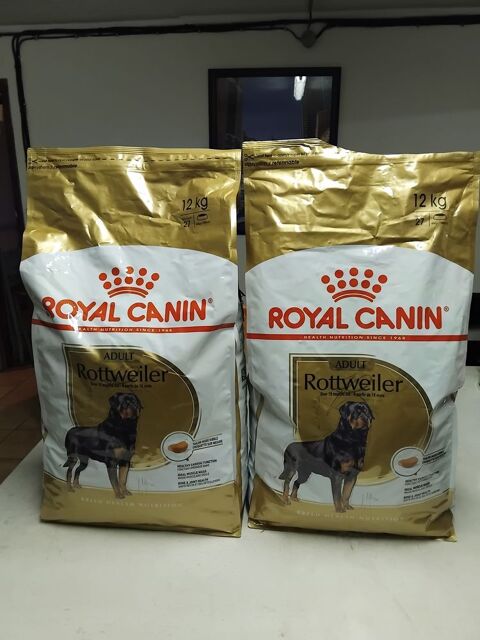 Croquettes chien adulte 80 59179 Fenain