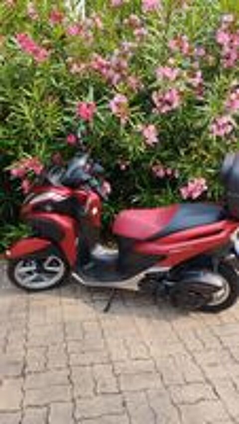 YAMAHA 2015 occasion 81990 Puygouzon