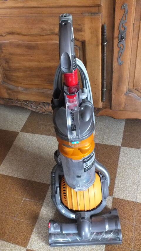 ASPIRATEUR DYSON BALL 129 Cornillon-Confoux (13)