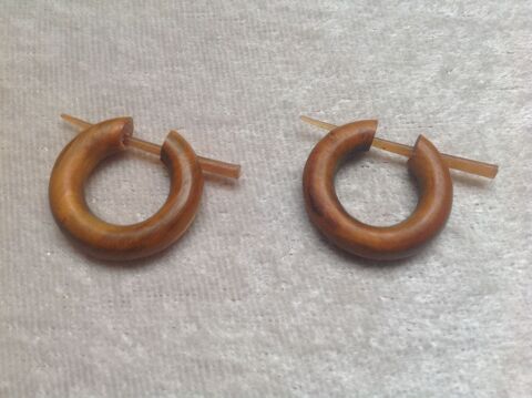 BOUCLES ANNEAUX ETHNIQUE TRIBAL EN CORNE
7 Tr�gunc (29)