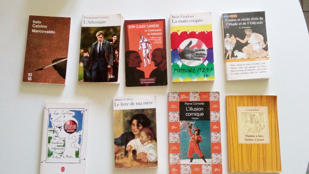 Lots de livres coll&egrave;ge, lyc&eacute;e ou fac de lettres Livres et BD