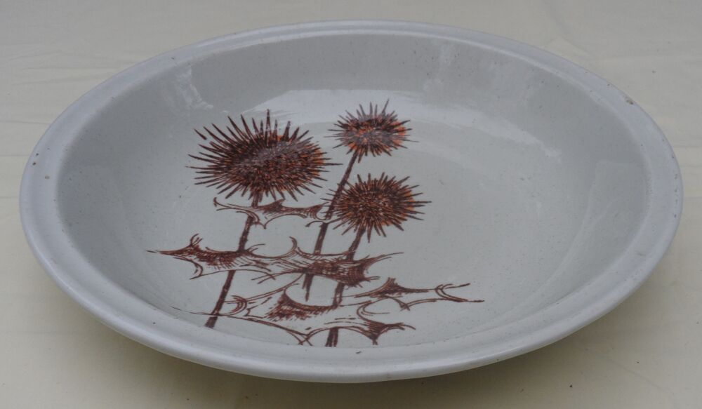 Plat en c&eacute;ramique vintage neuf
Diam&egrave;tre27,8 cm Haut 5 cm Cuisine
