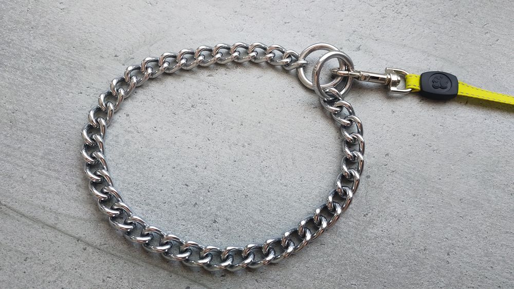 Collier Cha&icirc;ne en M&eacute;tal pour Chien en Acier Inoxydable 2-en1 Sports