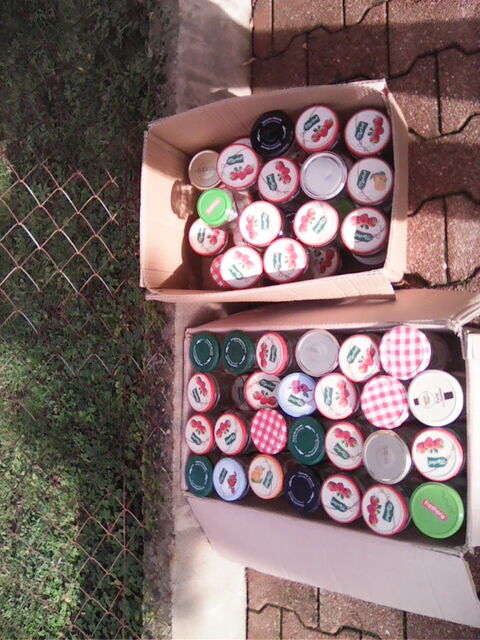 BOCAUX POUR CONFITURE 12 Saint-R�my-en-Rollat (03)