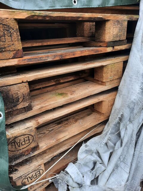 palettes Charmes (88)