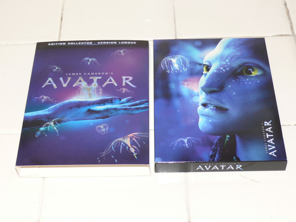 DVD : &quot;Avatar&quot; DVD et blu-ray