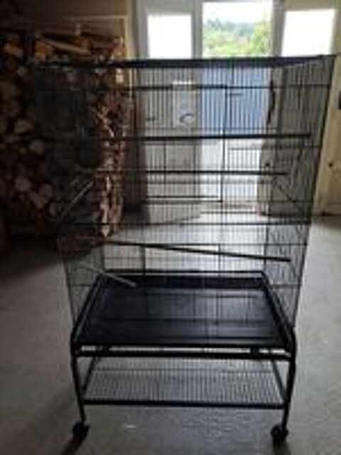   Cage oiseaux 
