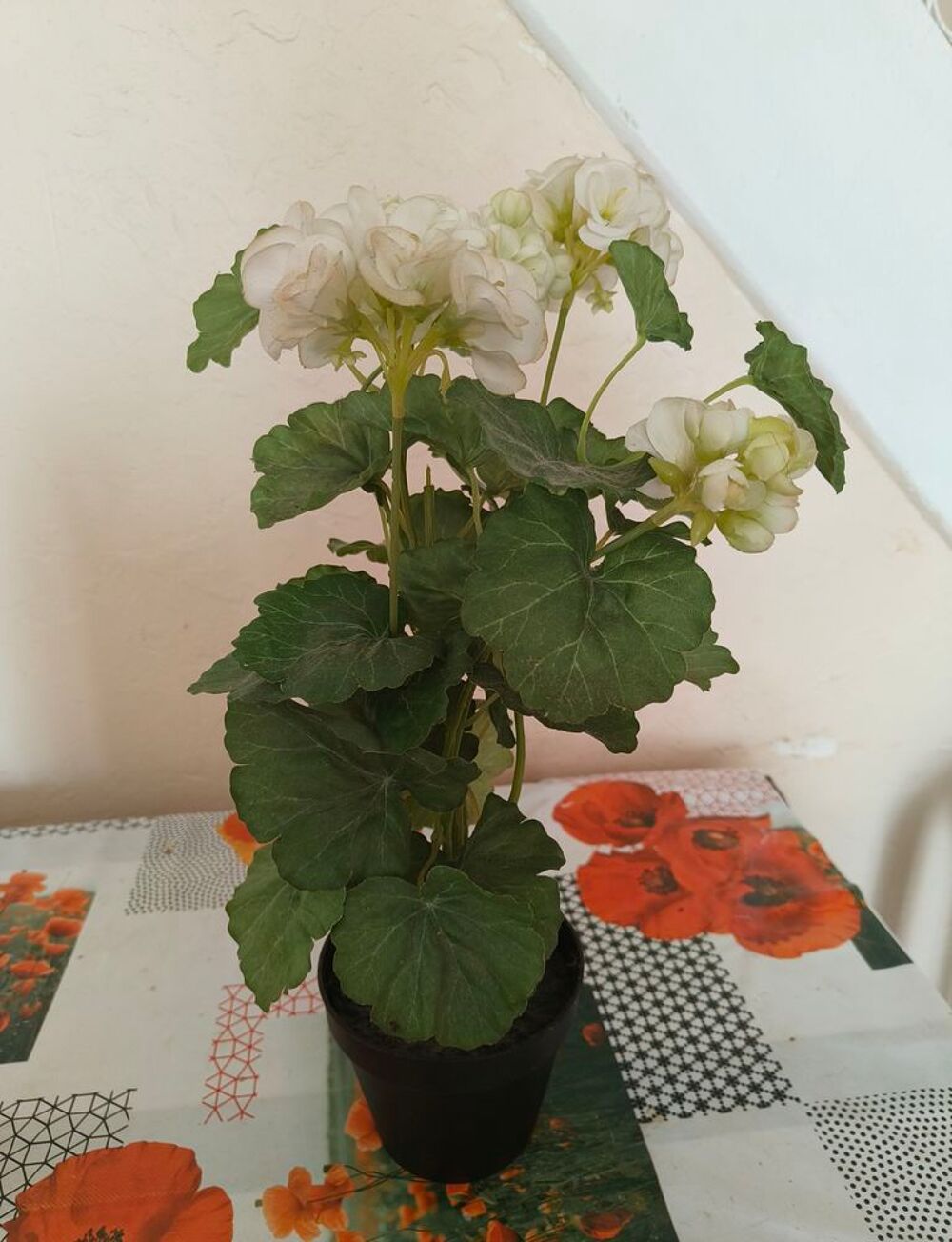 Plante artificielle IKEA FEJKA (g&eacute;ranium blanc) - Pot 12 cm Décoration