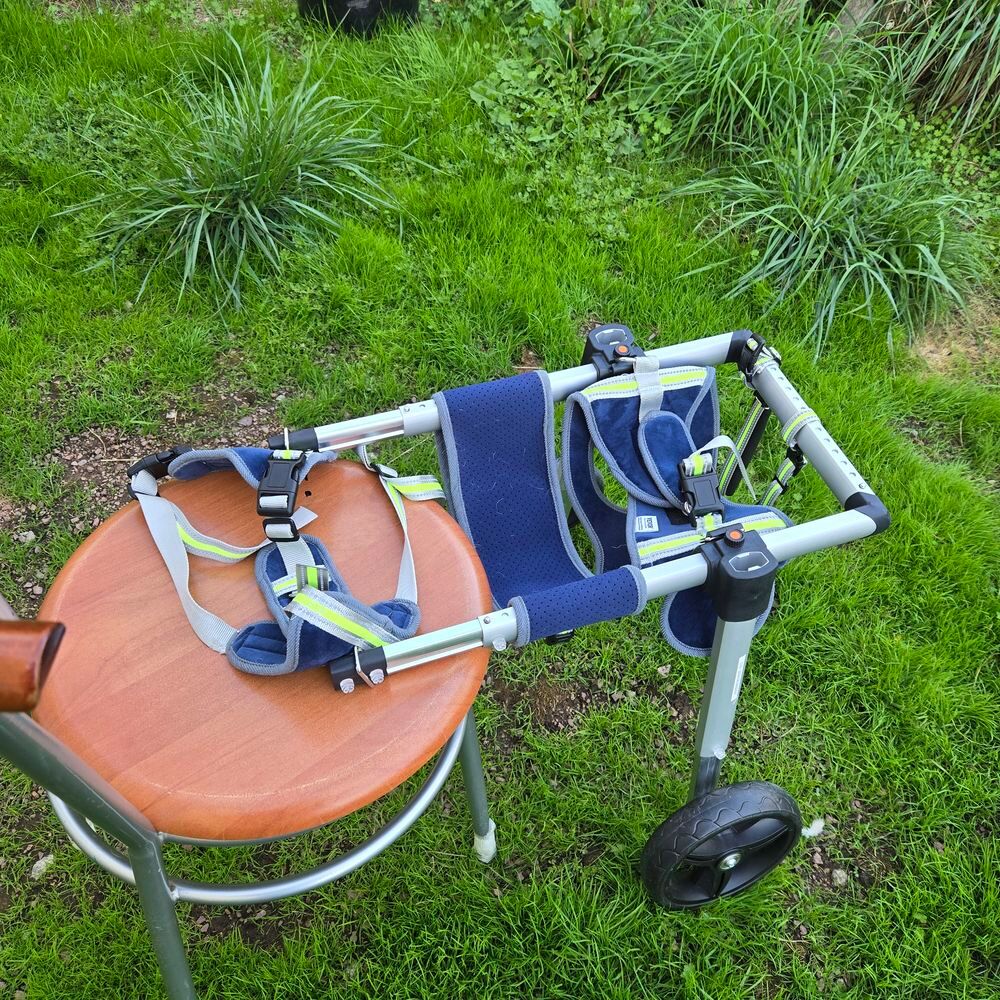   Charrette pour chiens handicapés des pâtes arrière 