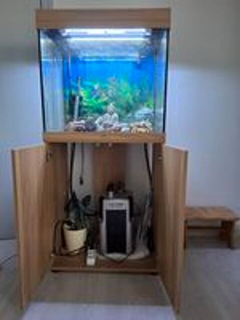   aquarium 
