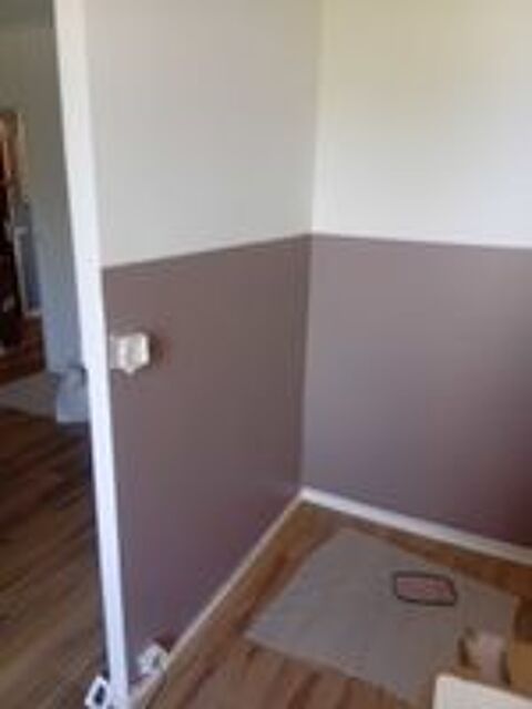   plaquiste peintre renovation 