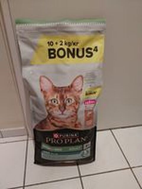   Croquettes pour chat 