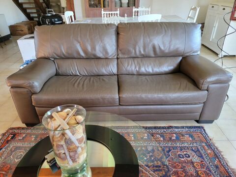 Canap� en cuir 50 L�on (40)
