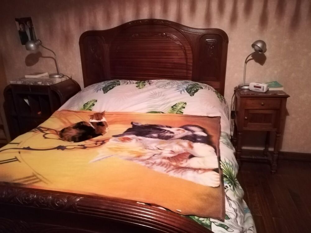 CHAMBRE A COUCHER COMPLETE
ART DECO ACAJOU DE CUBA ( rare) Meubles