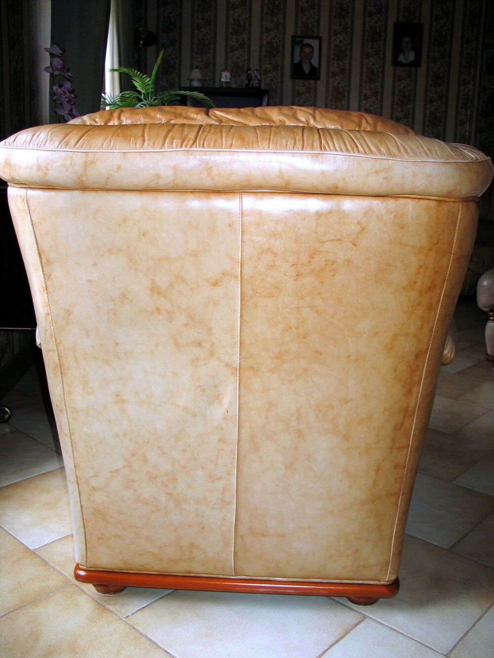 Fauteuil de luxe en cuir Meubles
