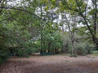  Terrain  vendre 1000 m