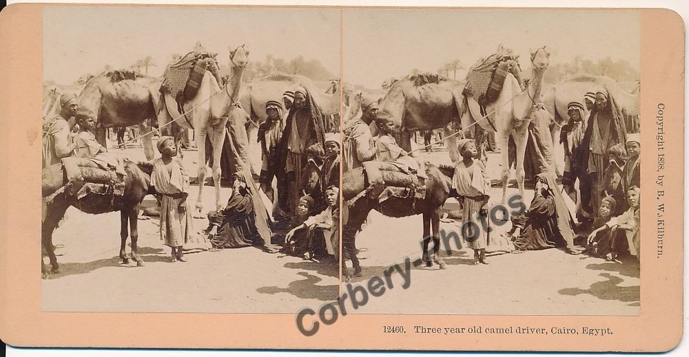 &Eacute;GYPTE LE CAIRE Three Year Old Camel Driver Photo Stereoview 