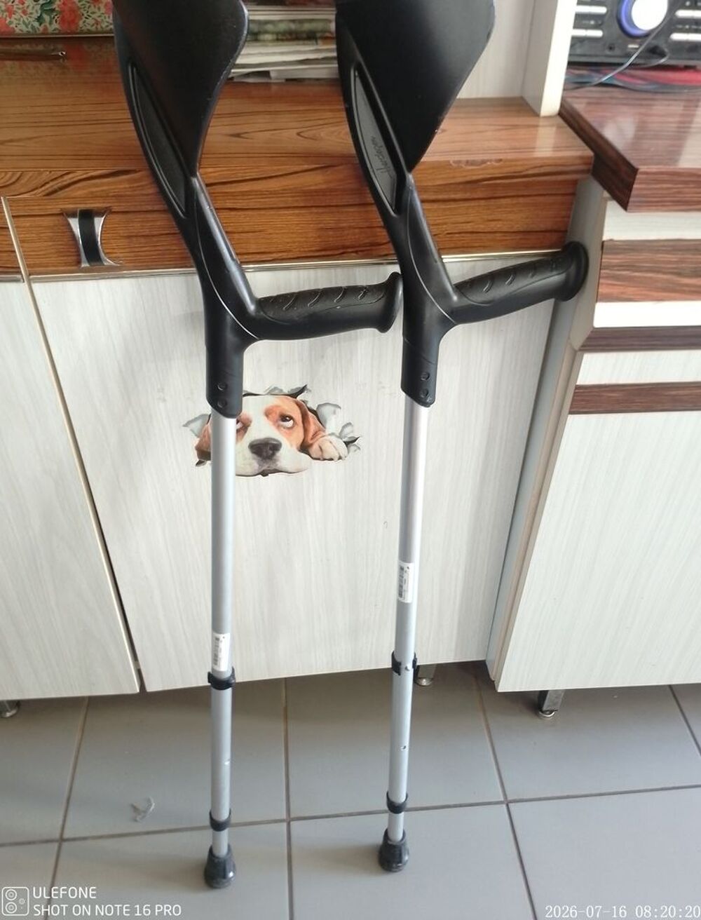 B&eacute;quille m&eacute;dicale Sports