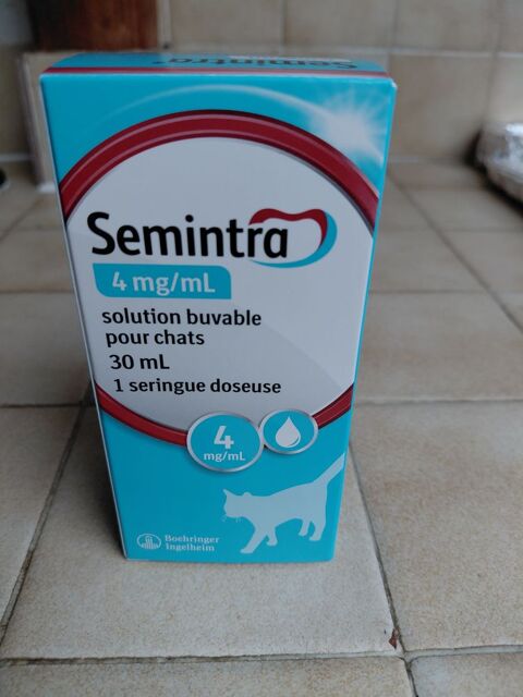 SEMINTRA Probl&egrave;mes R&eacute;naux Chat 20 94340 Joinville-le-pont