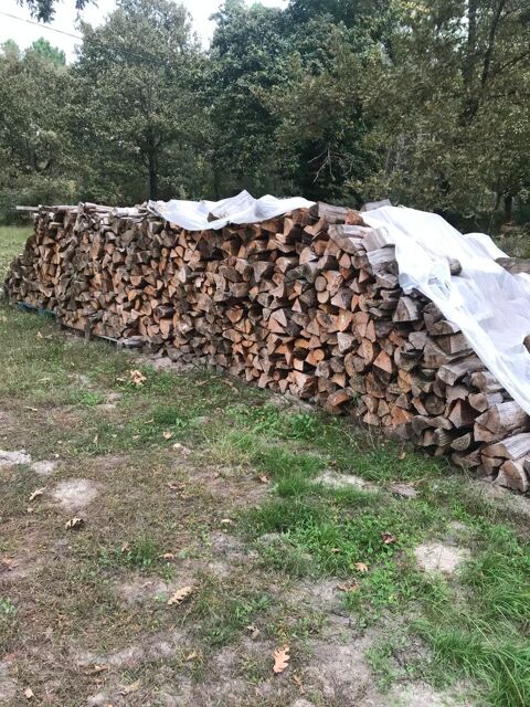 Bois de pin sec 35 Cachen (40)