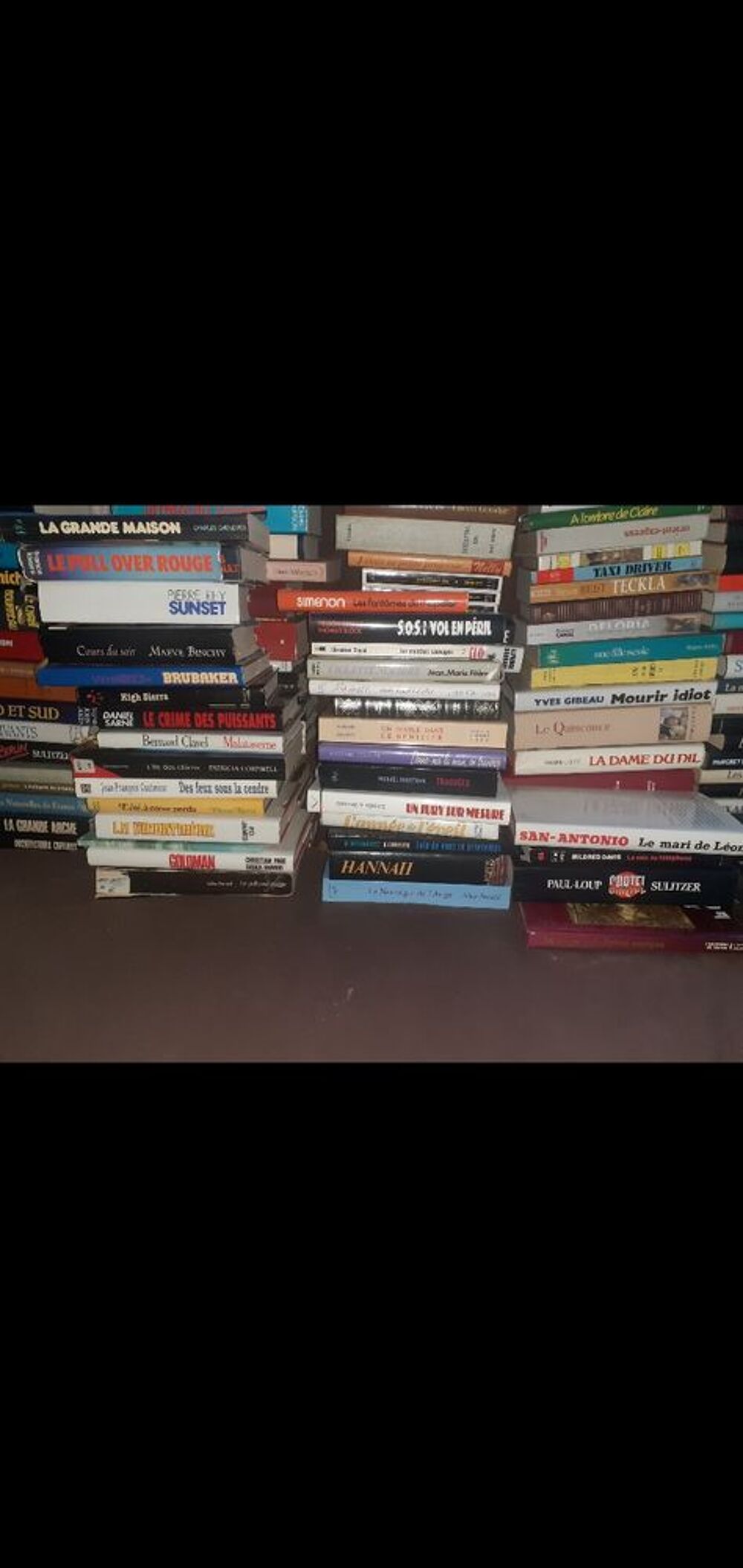 Gros lot de livres Livres et BD