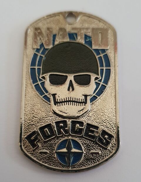 Plaque métal NATO (OTAN) Forces 2 Besançon (25)