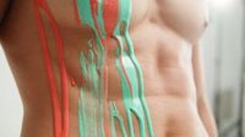   Body Painting EVJF ou  Anniversaire 