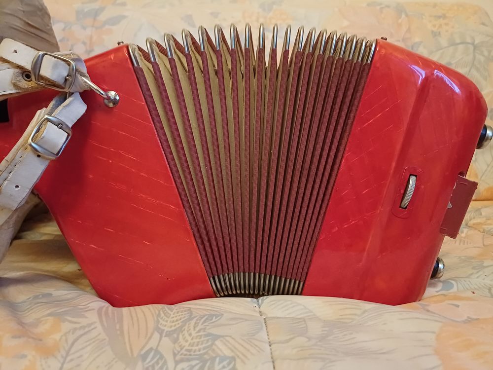 Accord&eacute;on Crucianelli 120 basses TB &eacute;tat et bien accord&eacute; Instruments de musique