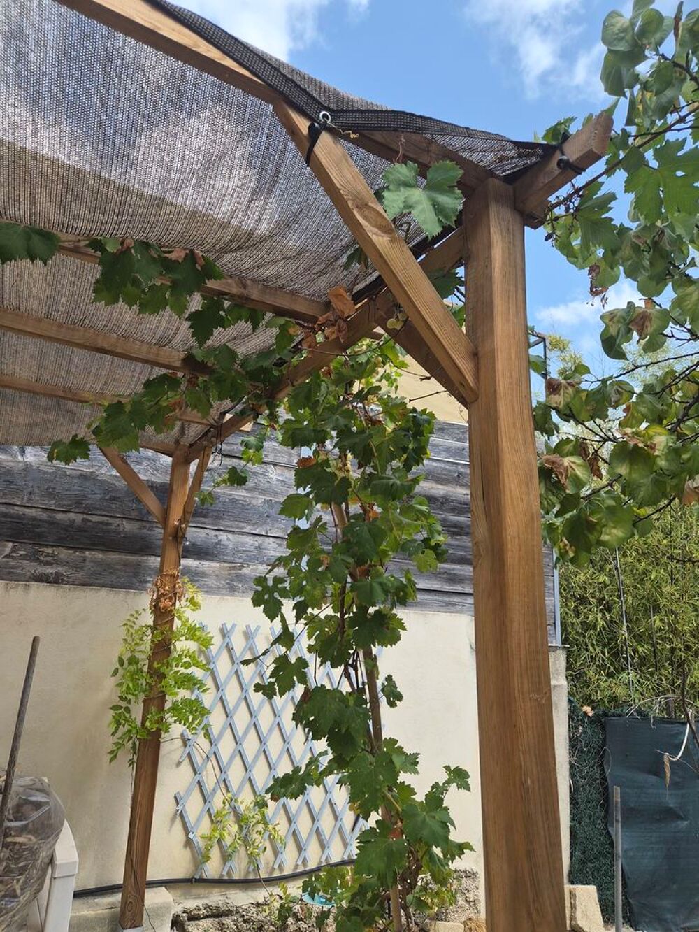 Pergola Jardin