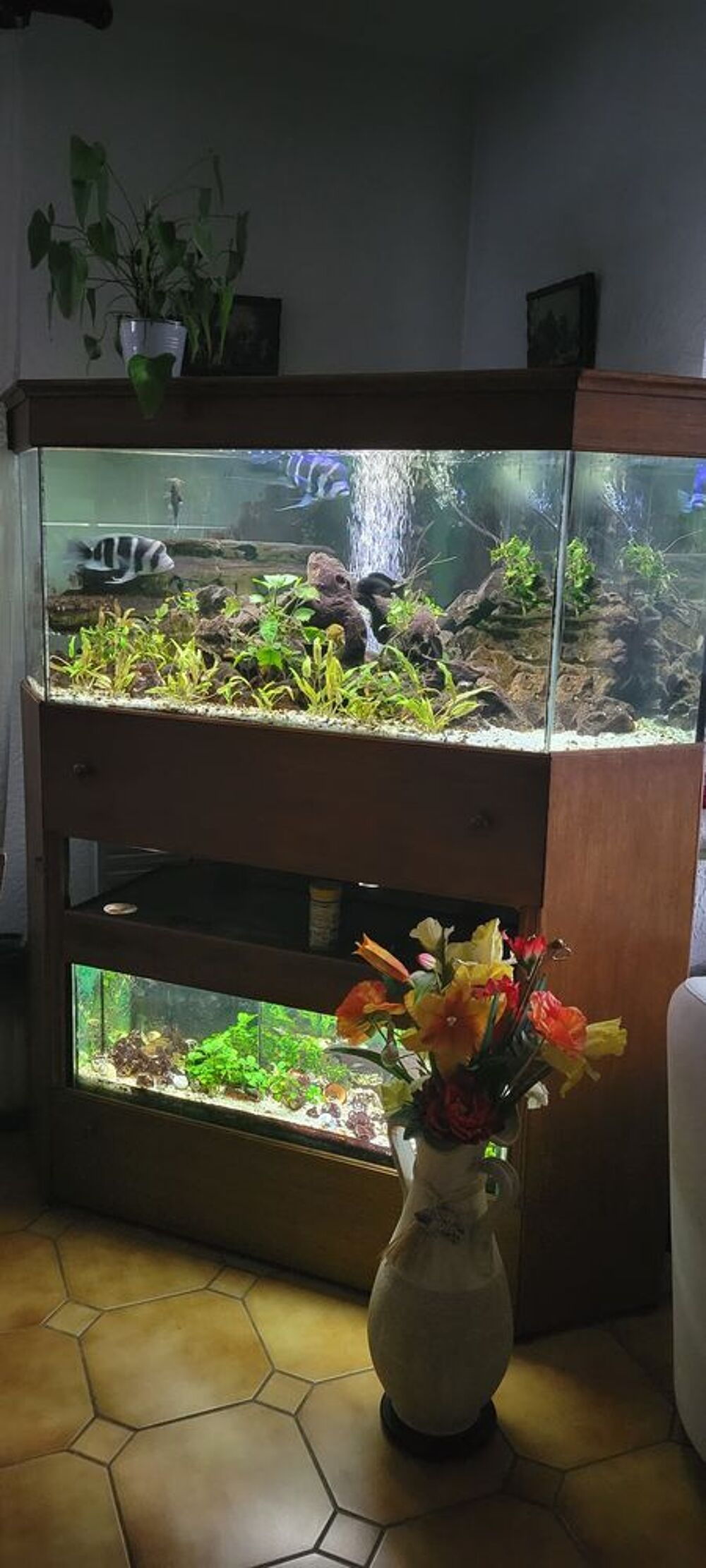   Aquarium d'angle en 2 niveaux (450L+150L) 