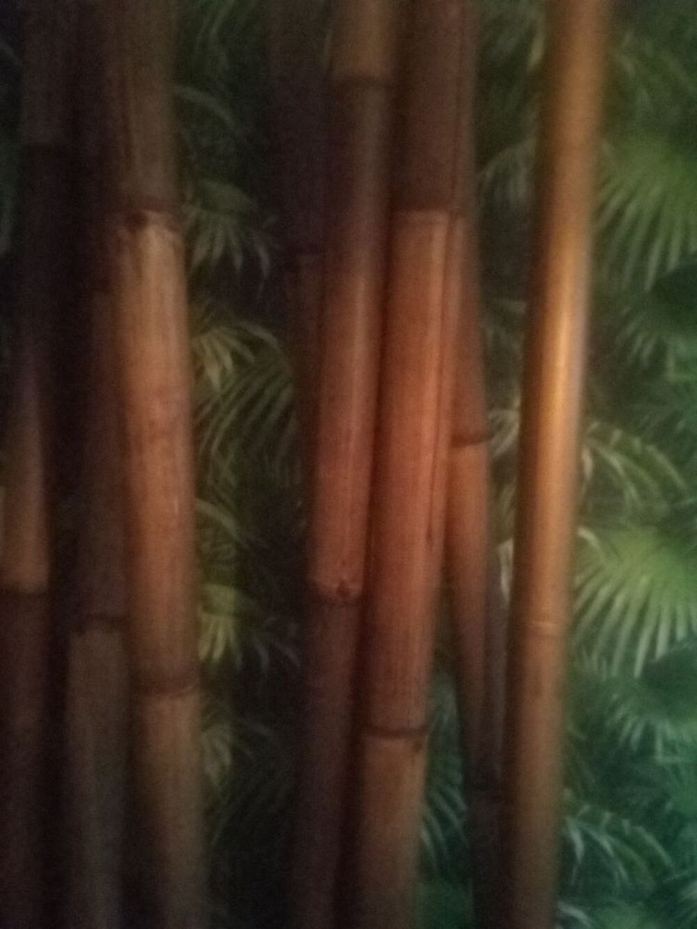 Spectaculaire et po&eacute;tique paravent de bambous ! Dcoration