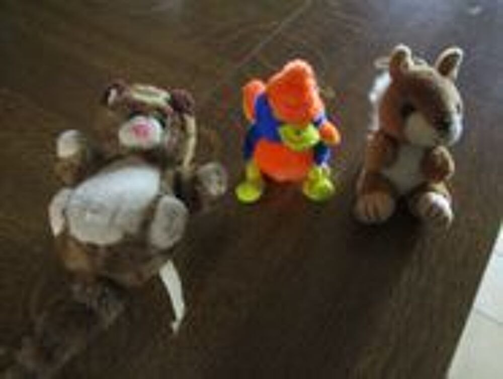 3 peluches diverses : &eacute;cureuil - chat et canard Jeux / jouets