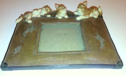 Cadre photo chats 5 Viry-Noureuil (02)