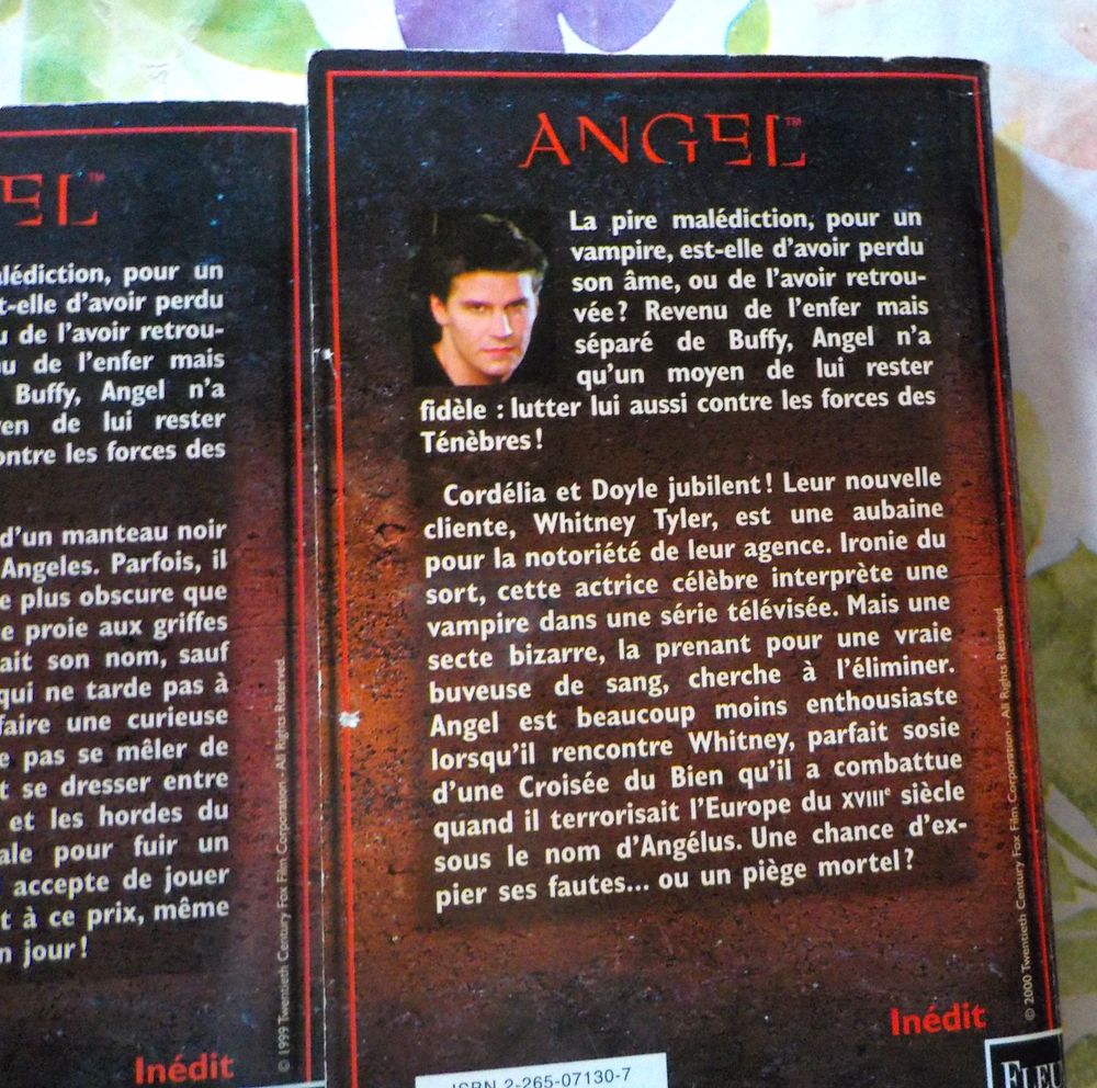 ANGEL N&deg;1 3 5 6 7 Ed. Fleuve Noir Livres et BD
