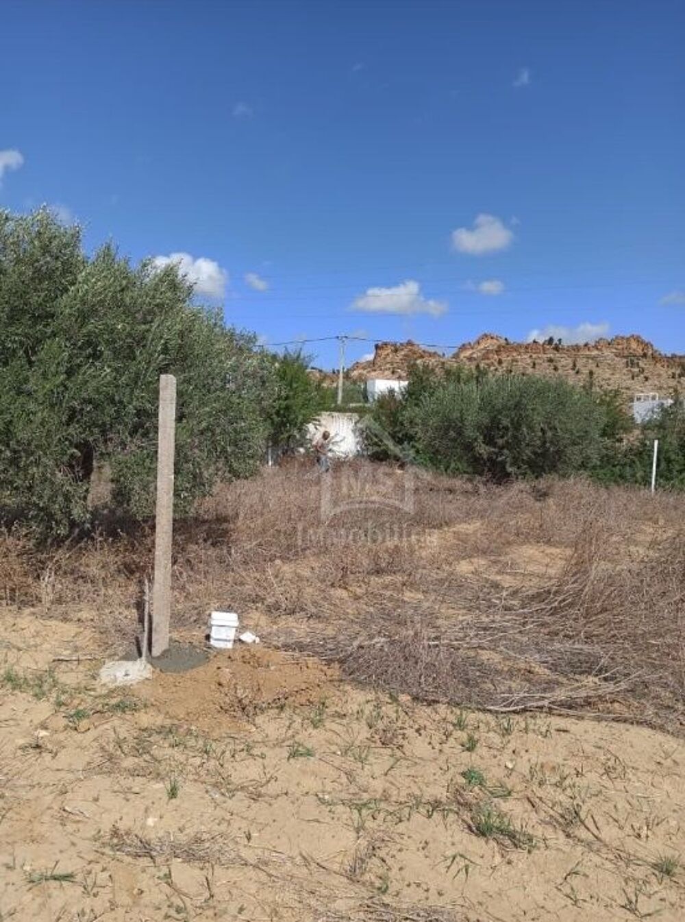 Vente Terrain Terrain de 300 m² à Hammamet Sud 51355351 Hammamet sud, tunisia (Tunisie)