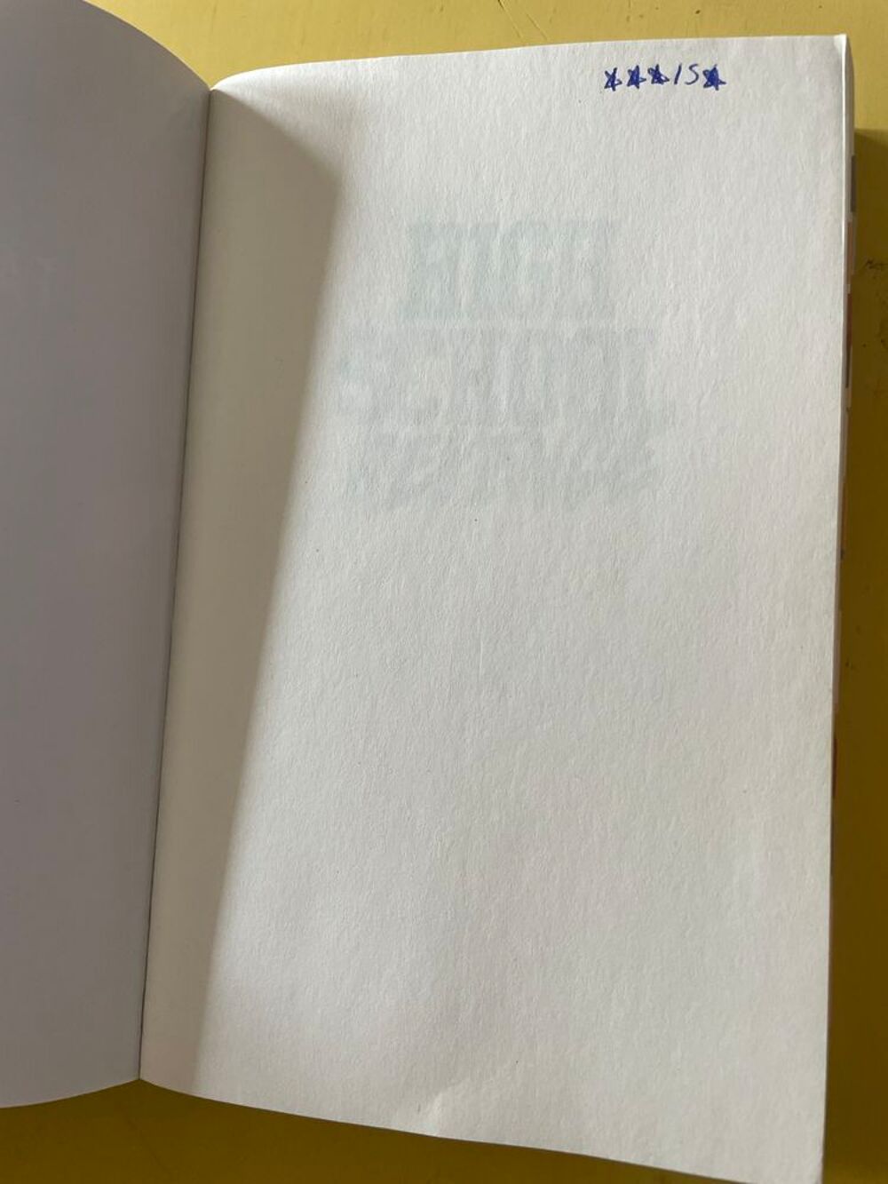 Livre High School Revenge - Fanny Twice _ Livres et BD