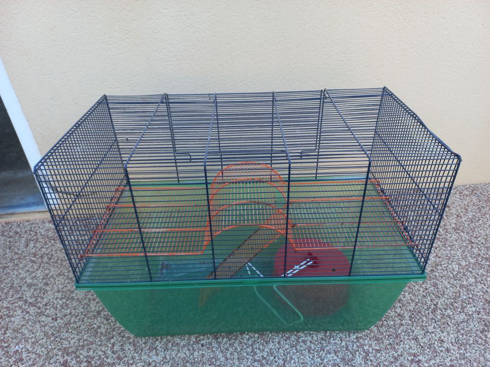   Cage rongeur  